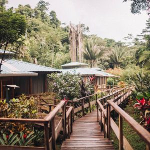 CABAÑA BRISA TROPICAL