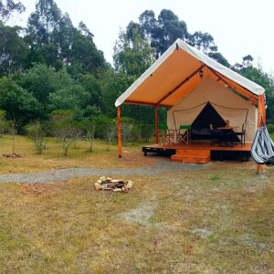 GLAMPING Safari