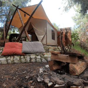 Glamping Safari