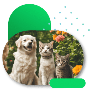 Plan mascotas esencial: Cuidado Integral