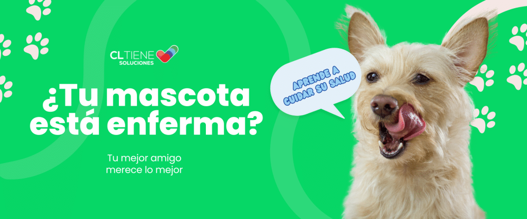 Como identificar signos de enfermedad en tu mascota