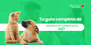 Banner plan asistencial mascotas 2